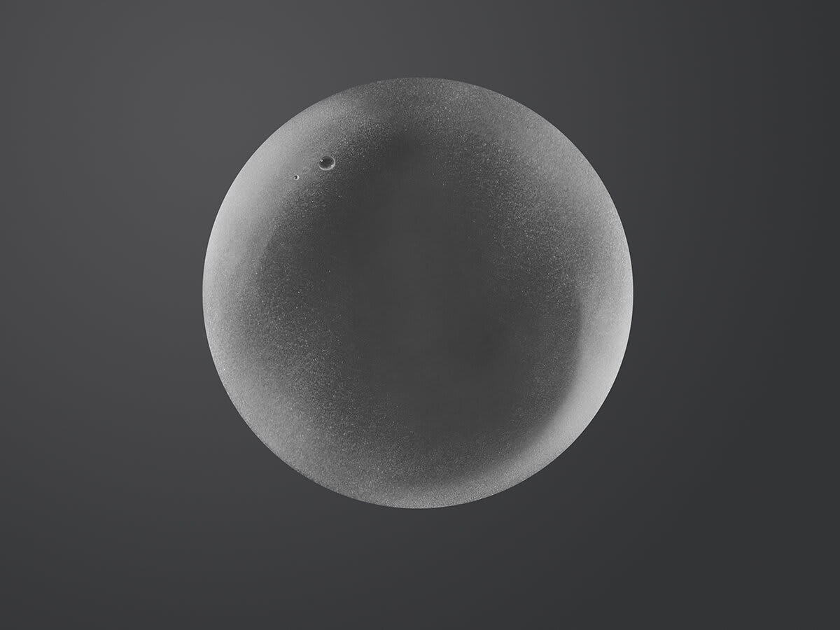 Skin Perfecting 1% BHA Gentle Exfoliating Gel Toner